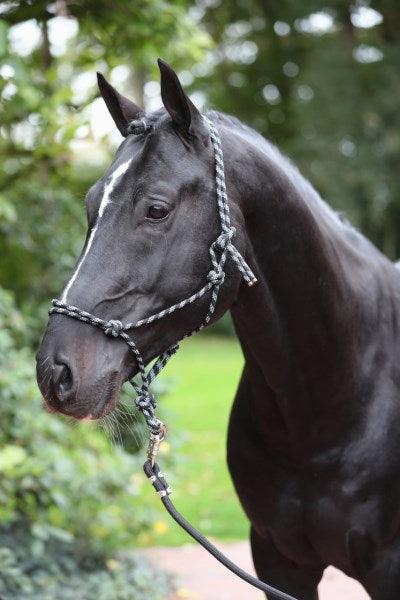 Covalliero Licol Ethologique - SHOPHORSE