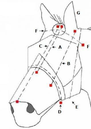 Cashel Masque Anti mouches Quiet Ride - SHOP HORSE