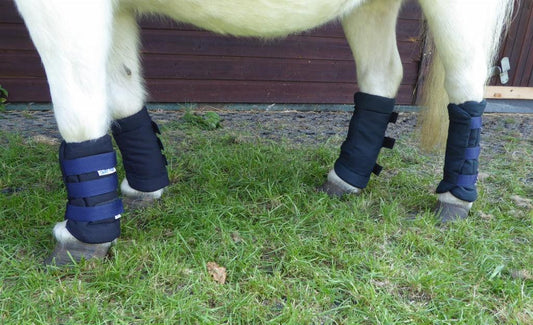 Dinky Guetres Ecurie Mini - SHOPHORSE