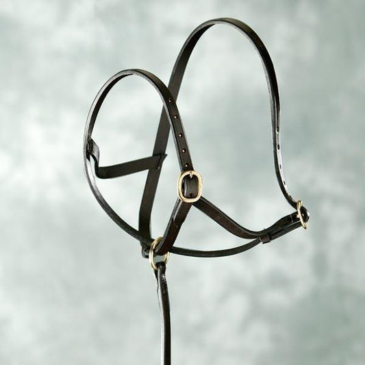 Elico Licol Slip Poulain en cuir - SHOP HORSE