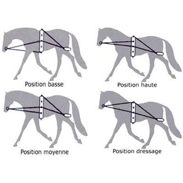 Rhinegold Enrenement A Longe avec Surfaix - SHOPHORSE