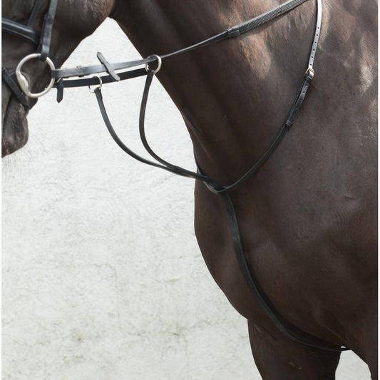 Equisential Martingale a Anneaux - SHOPHORSE