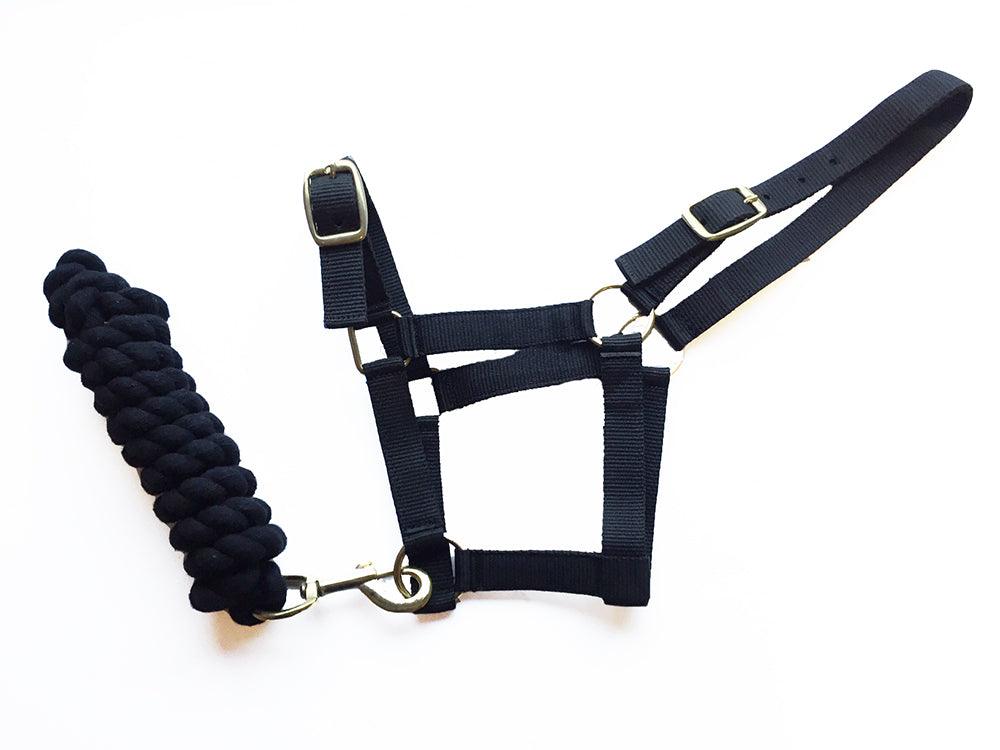 Harlequin Licol et Longe - SHOP HORSE