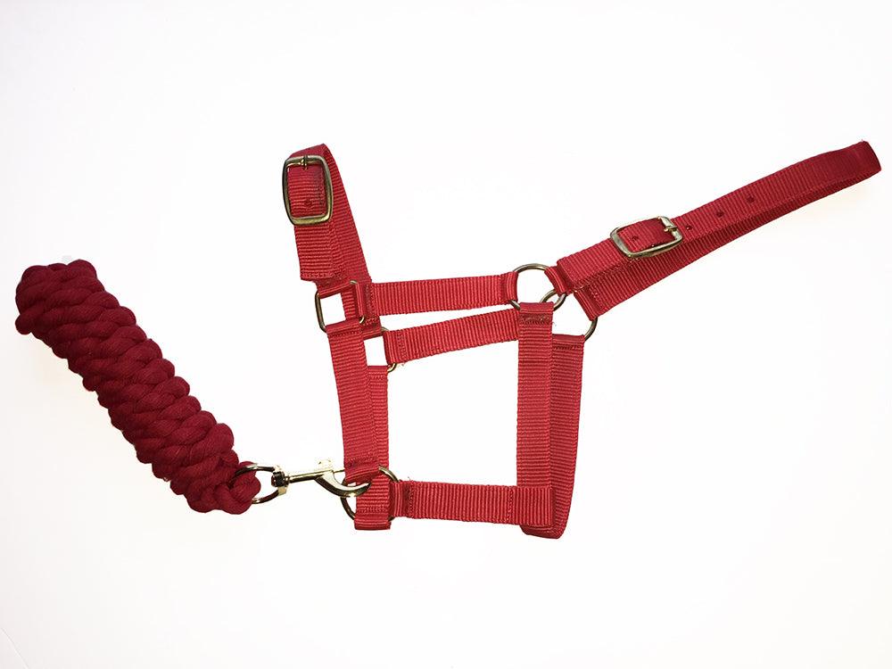 Harlequin Licol et Longe - SHOP HORSE