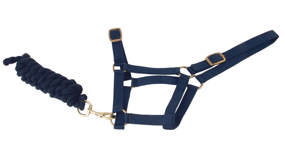 Harlequin Licol et Longe - SHOP HORSE