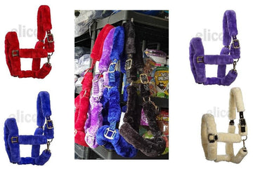 Licol Kingston - SHOPHORSE