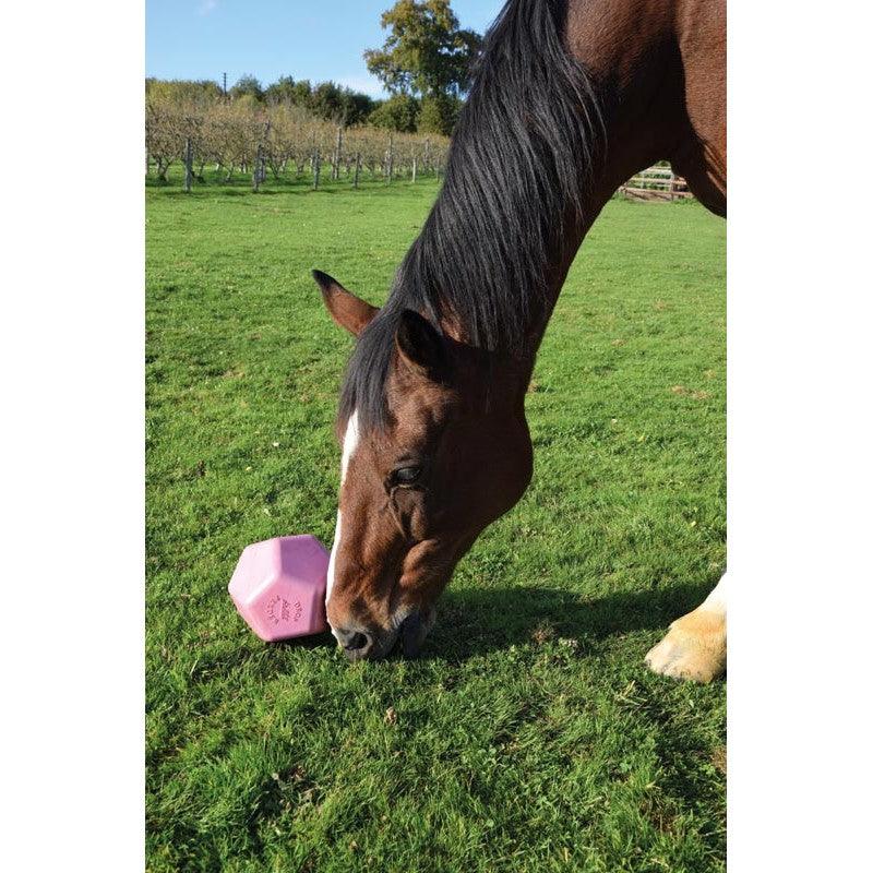 La Gee Drop Feeder - SHOPHORSE