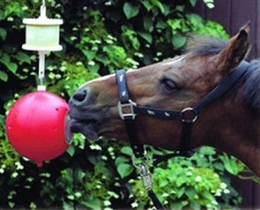 Likit Boredom Breaker - SHOP HORSE