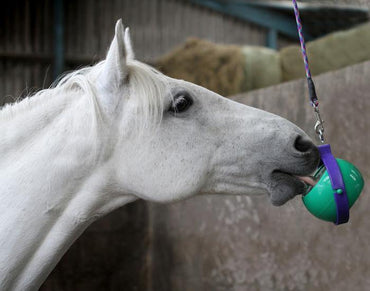 Likit Boredom Buster - SHOP HORSE