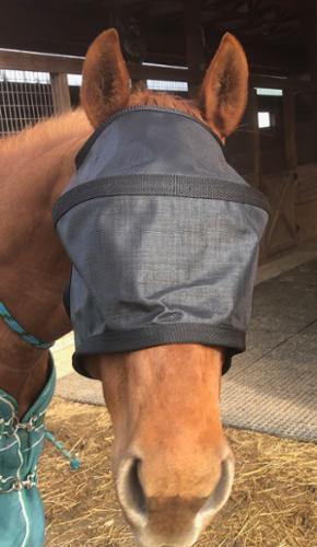 Masque Anti UV 90% Rigide sans Oreilles - SHOP HORSE