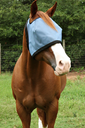 Masque Anti UV 90% sans Oreilles - SHOP HORSE