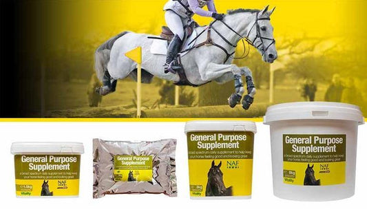 NAF Complement Generale - SHOPHORSE