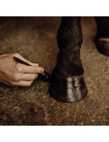 Nellumbo Baume Sabot Hiver - SHOPHORSE