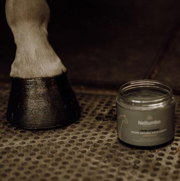 Nellumbo Baume Sabots Noir Intense - SHOPHORSE