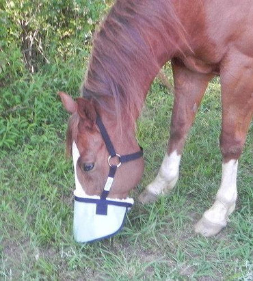 Protege Nez Anti UV 90% avec licol - SHOPHORSE