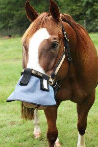 Protege Nez Anti UV 90% pour licol - SHOPHORSE