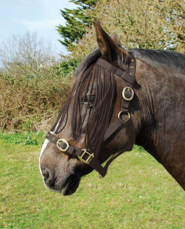 Rhinegold Frange Anti-Mouches - SHOP HORSE