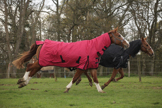 Rhinegold Couverture d'Exterieur Konig Combo 200g - SHOP HORSE