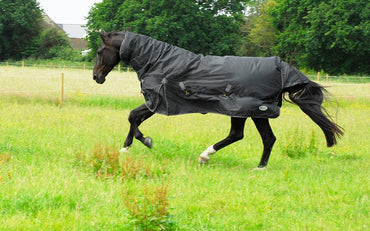 Rhinegold Couverture d'Exterieur Konig Combo 200g - SHOP HORSE