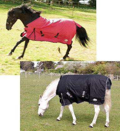 Rhinegold Couverture d'Exterieur Konig 200g 105cm - SHOP HORSE