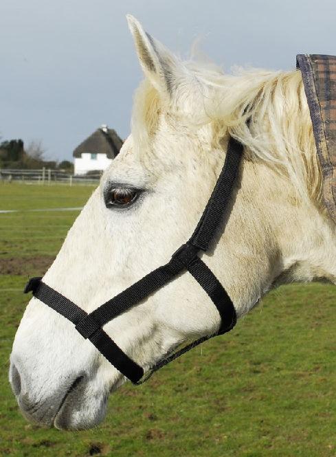 Rhinegold Licol de Securite en Nylon - SHOP HORSE