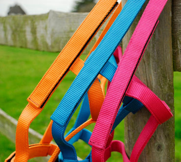 Rhinegold Licol de Securite en Nylon - SHOP HORSE