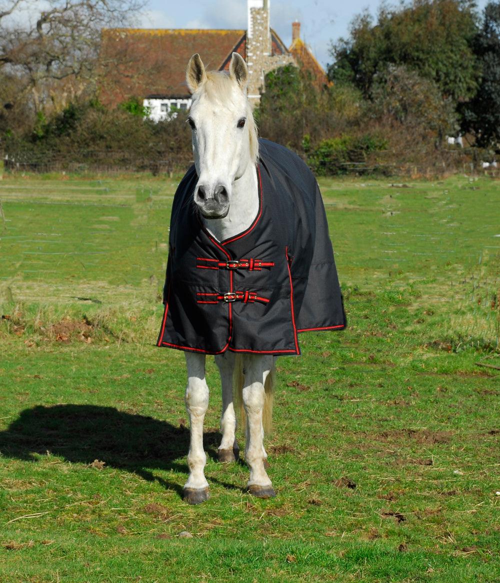 Rhinegold Couverture d'Exterieur Thor 350g - SHOP HORSE