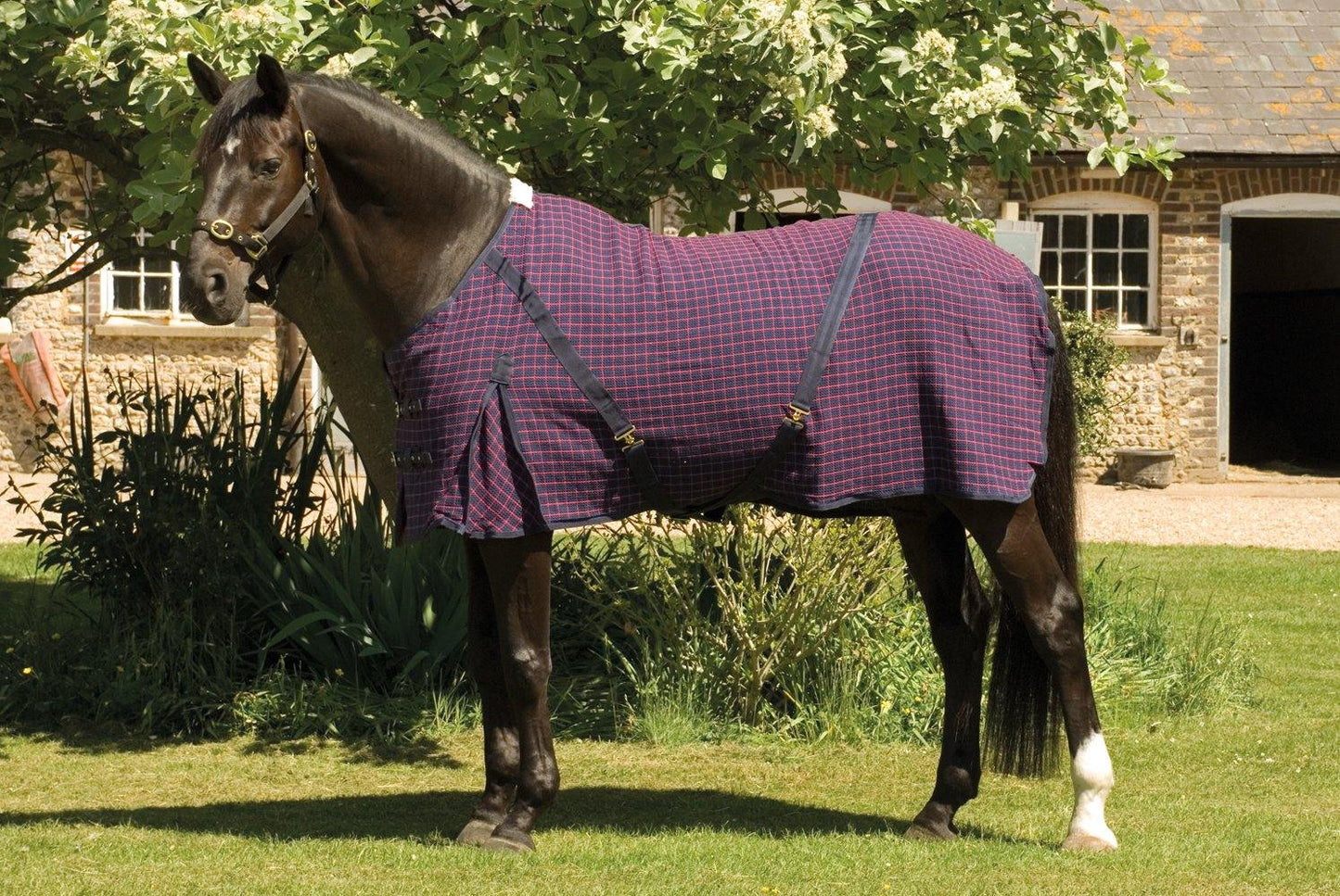 Rhinegold Sechante Waffle - SHOP HORSE