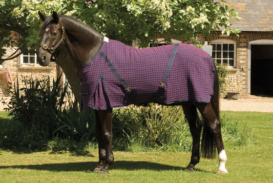 Rhinegold Sechante Waffle - SHOP HORSE