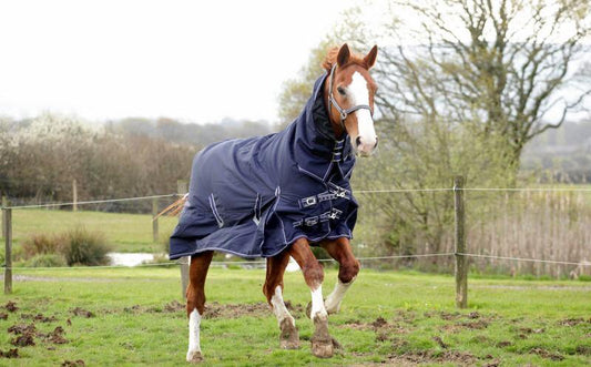 Rhinegold Arizona Impermeable Combo 100g - SHOPHORSE