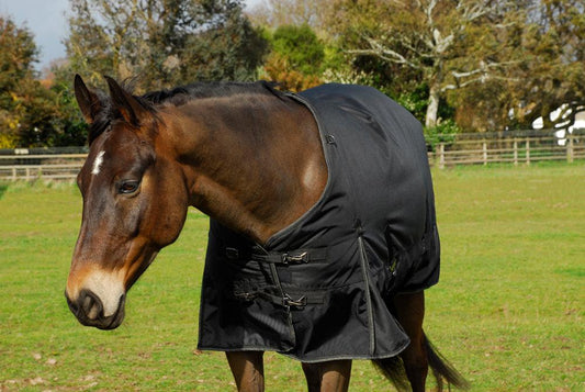 Meribel Couverture Exterieur 350g - SHOPHORSE