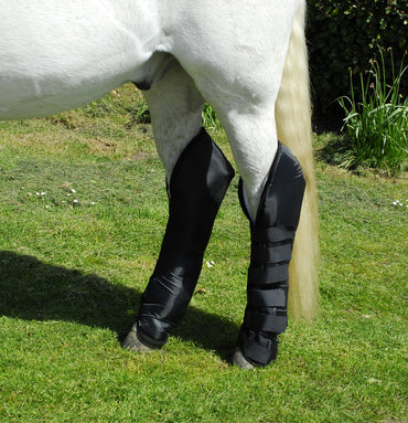 Rhinegold Guetres de Transport