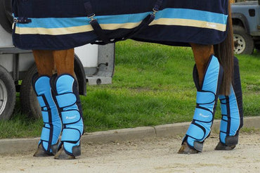 Rhinegold Elite Guetres de Transport - SHOPHORSE