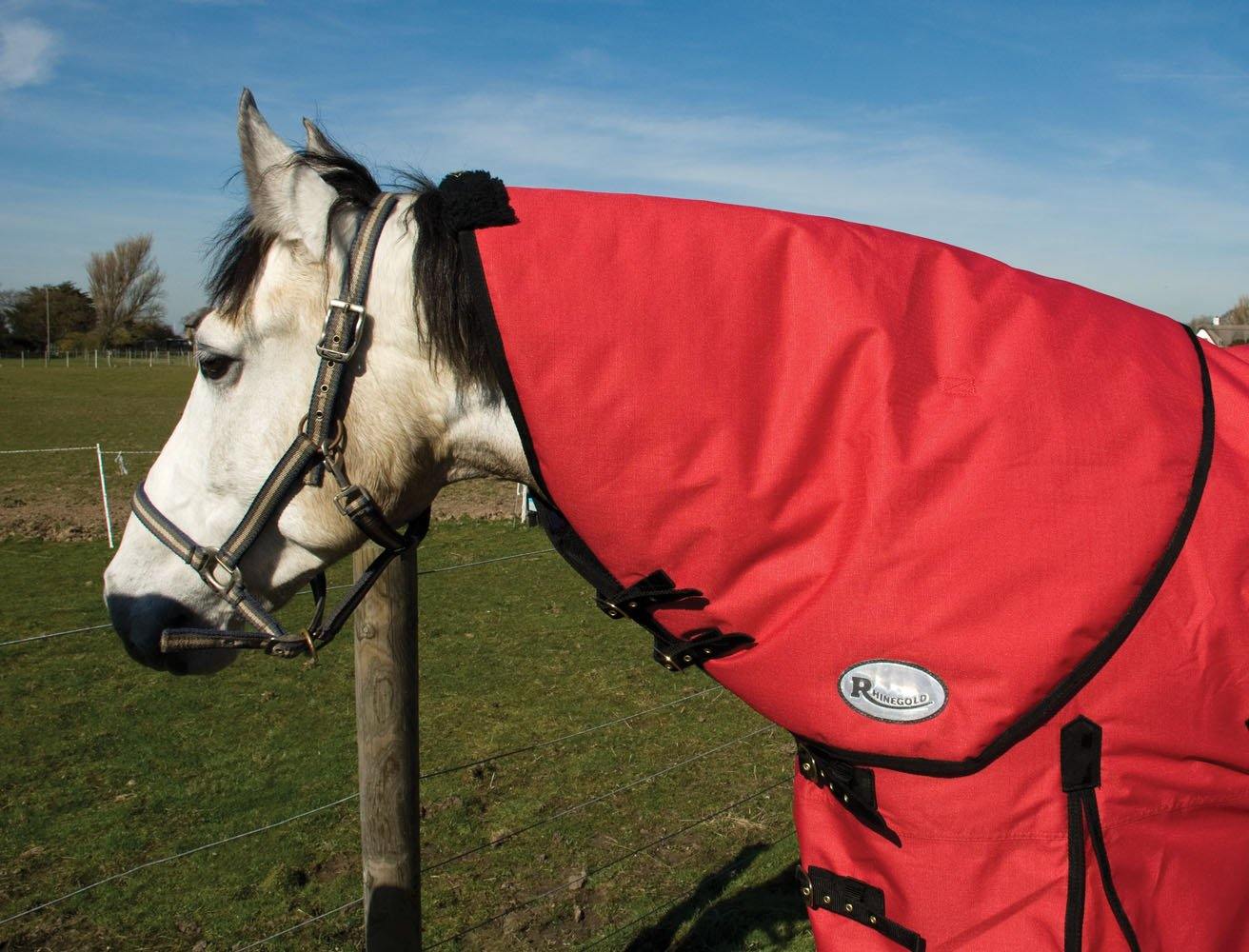 Rhinegold Couvre Cou Konig - SHOPHORSE