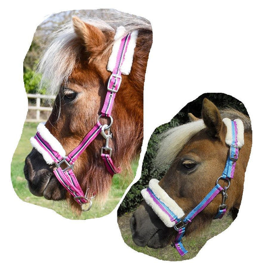 Rhinegold Licol Bright - SHOPHORSE