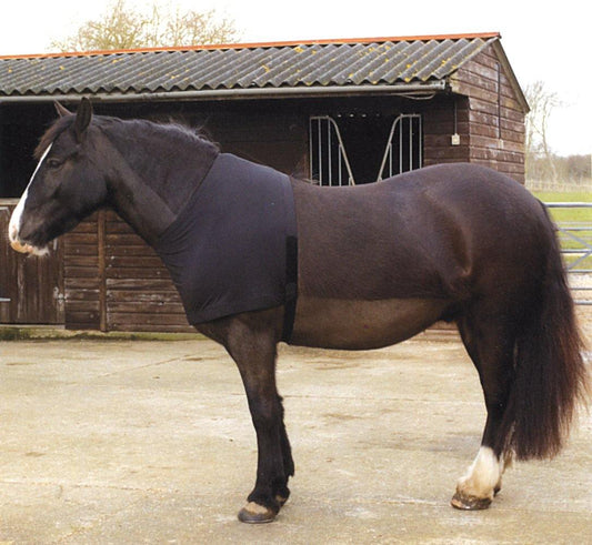 Rhinegold Protege Epaule Lycra - SHOPHORSE