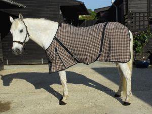 Rhinegold Sechante Waffle Marron - SHOPHORSE