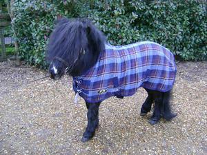 Chemise Sechante Waffle - SHOP HORSE