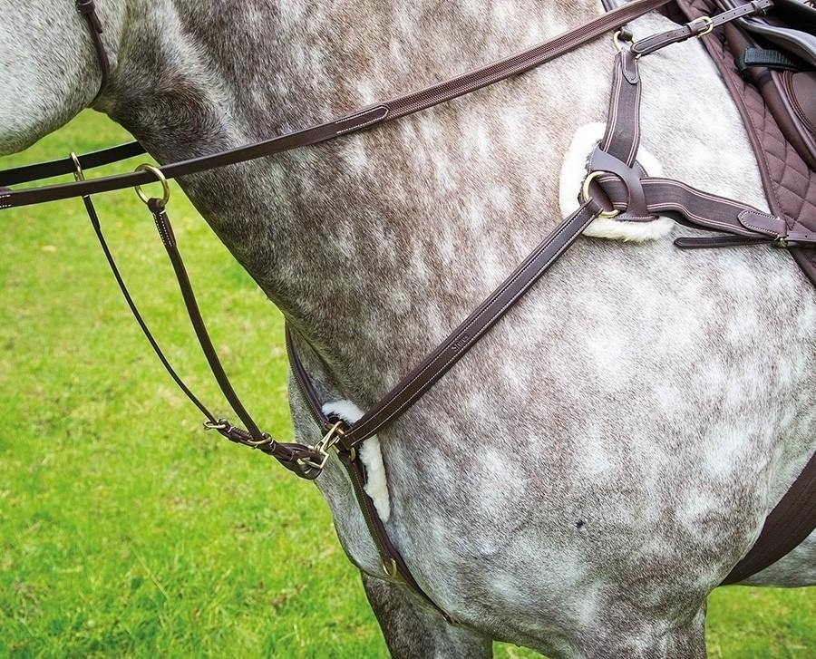 Salisbury Collier de Chasse 5 point - SHOPHORSE