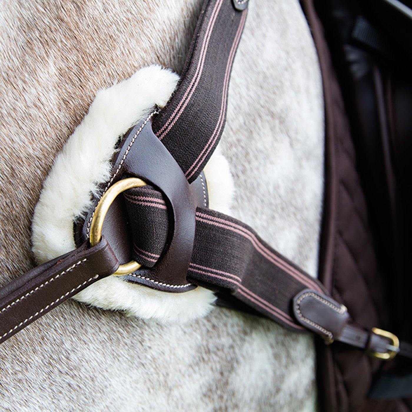 Salisbury Collier de Chasse 5 point - SHOPHORSE