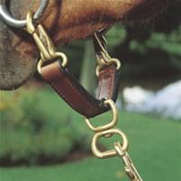 Shires Alliance de Longe en Cuir - SHOP HORSE