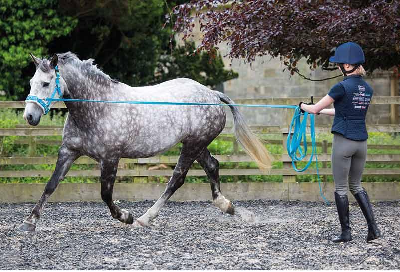 Shires Cavecon Double Mouton Synthetique - SHOP HORSE