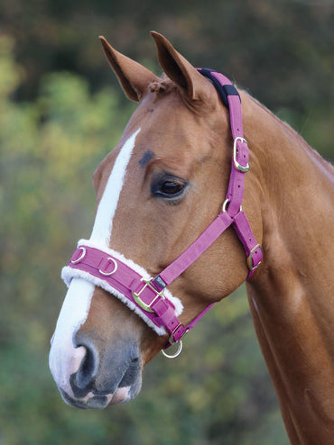 Shires Cavecon Double Mouton Synthetique - SHOP HORSE