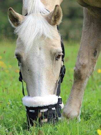 Shires Museliere Confort Deluxe - SHOPHORSE