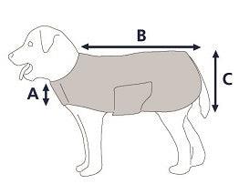 Digby & Fox Couverture Chien Teal - SHOPHORSE