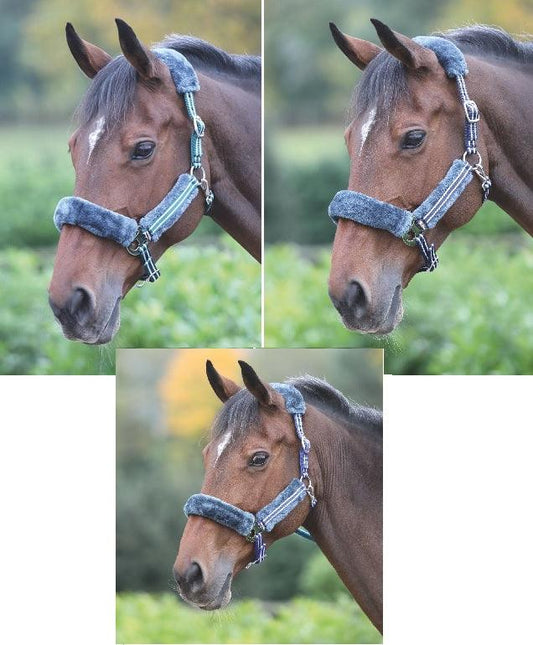 Shires Licol Stripe - SHOPHORSE