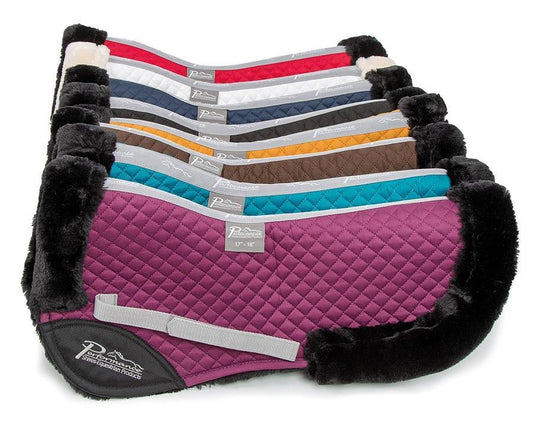 Shires Performance Amortisseur - SHOPHORSE