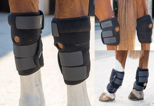 Arma Guetres Therapeutique pour Articulations - SHOPHORSE