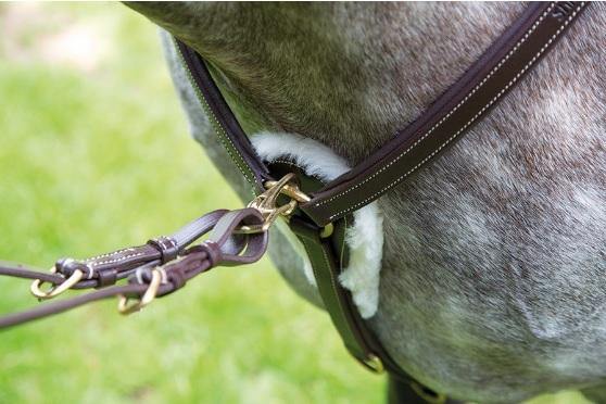 Salisbury Collier de Chasse 5 point - SHOPHORSE