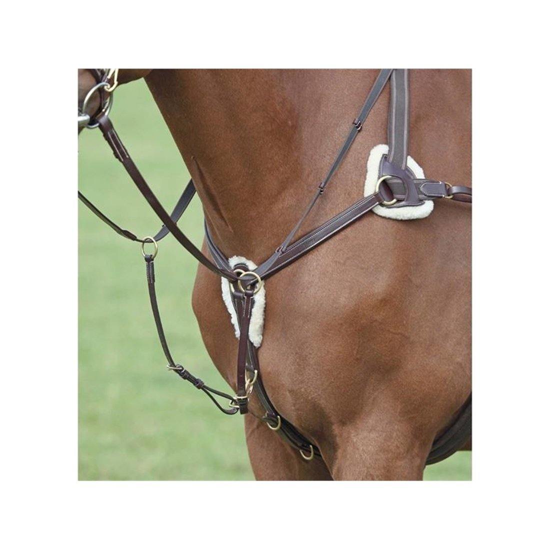 Salisbury Collier de Chasse 5 point - SHOPHORSE